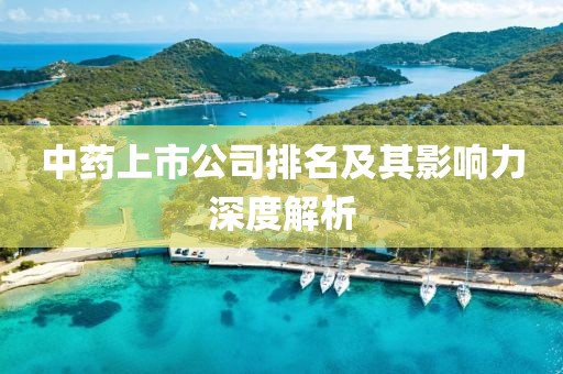 中藥上市公司排名及其影響力深度解析