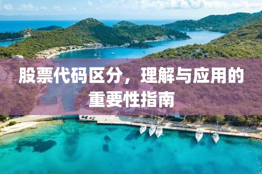 股票代碼區(qū)分，理解與應(yīng)用的重要性指南