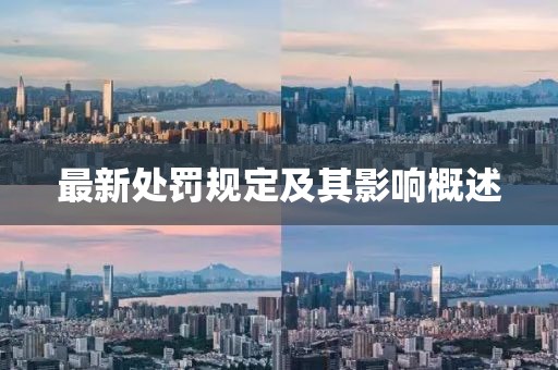 最新處罰規(guī)定及其影響概述