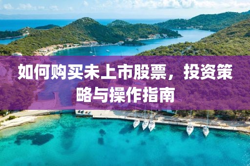 如何購(gòu)買(mǎi)未上市股票，投資策略與操作指南
