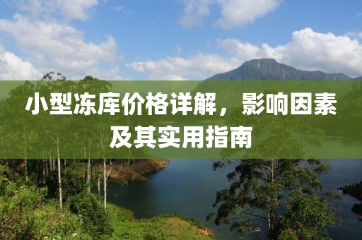 小型凍庫(kù)價(jià)格詳解，影響因素及其實(shí)用指南