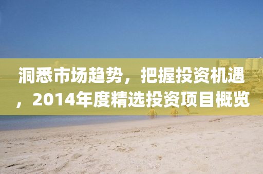 洞悉市場(chǎng)趨勢(shì)，把握投資機(jī)遇，2014年度精選投資項(xiàng)目概覽