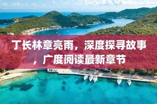 丁長(zhǎng)林章亮雨，深度探尋故事，廣度閱讀最新章節(jié)