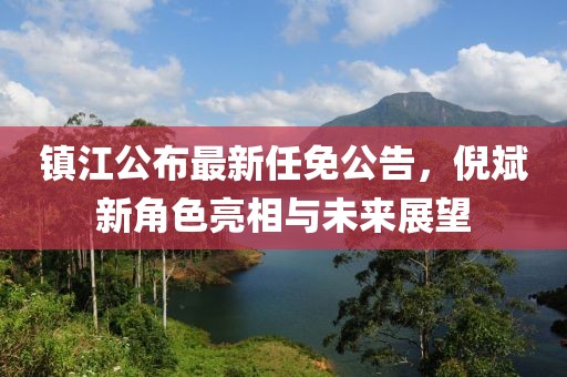 鎮(zhèn)江公布最新任免公告，倪斌新角色亮相與未來展望