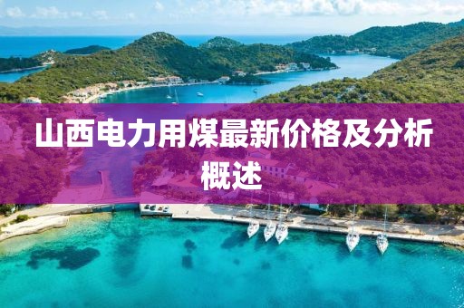 山西電力用煤最新價格及分析概述