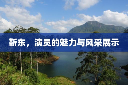 靳東，演員的魅力與風采展示