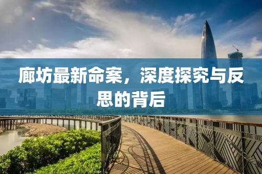 廊坊最新命案，深度探究與反思的背后
