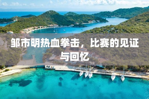 鄒市明熱血拳擊，比賽的見(jiàn)證與回憶