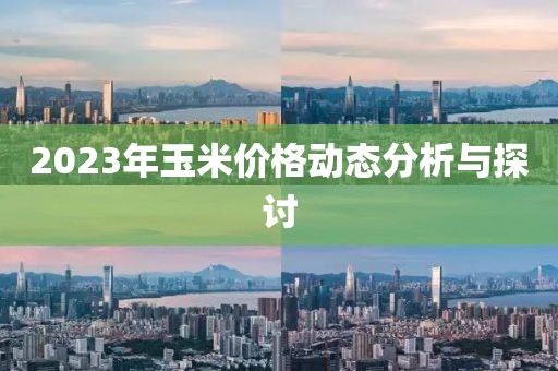 2023年玉米價(jià)格動(dòng)態(tài)分析與探討