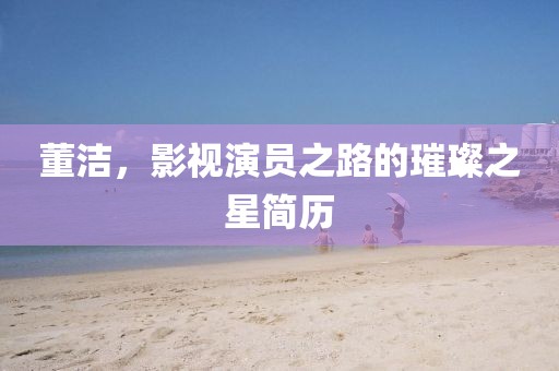 董潔，影視演員之路的璀璨之星簡(jiǎn)歷