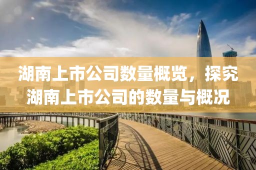 湖南上市公司數(shù)量概覽，探究湖南上市公司的數(shù)量與概況