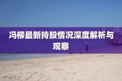 馮柳最新持股情況深度解析與觀察