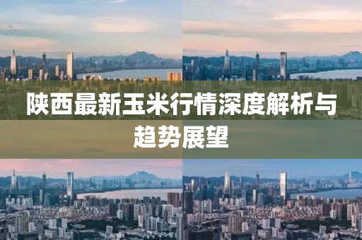 陜西最新玉米行情深度解析與趨勢展望