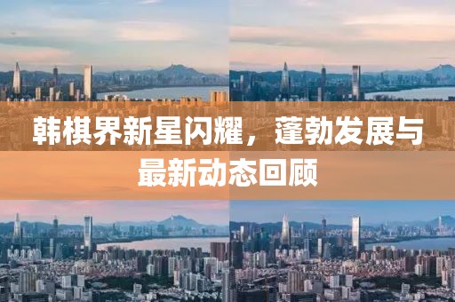 韓棋界新星閃耀，蓬勃發(fā)展與最新動態(tài)回顧