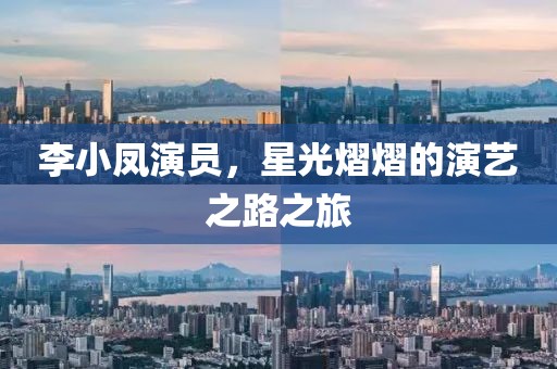李小鳳演員，星光熠熠的演藝之路之旅