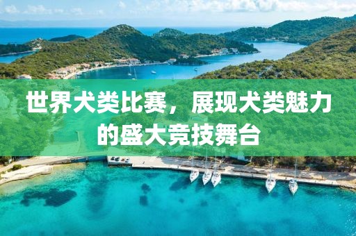 世界犬類比賽，展現(xiàn)犬類魅力的盛大競技舞臺