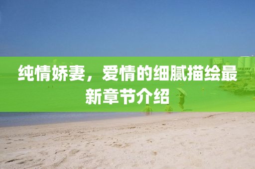 純情嬌妻，愛情的細(xì)膩描繪最新章節(jié)介紹