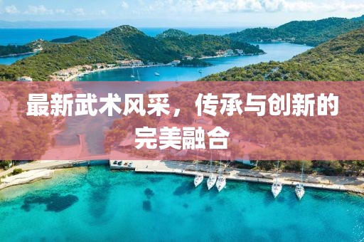 最新武術(shù)風(fēng)采，傳承與創(chuàng)新的完美融合