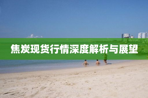焦炭現(xiàn)貨行情深度解析與展望