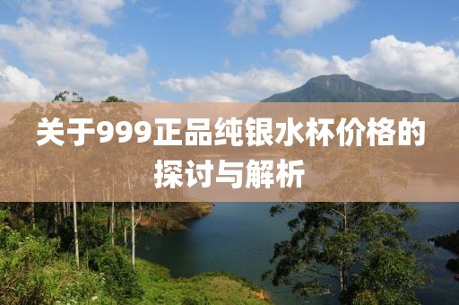關于999正品純銀水杯價格的探討與解析