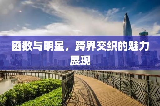 函數(shù)與明星，跨界交織的魅力展現(xiàn)