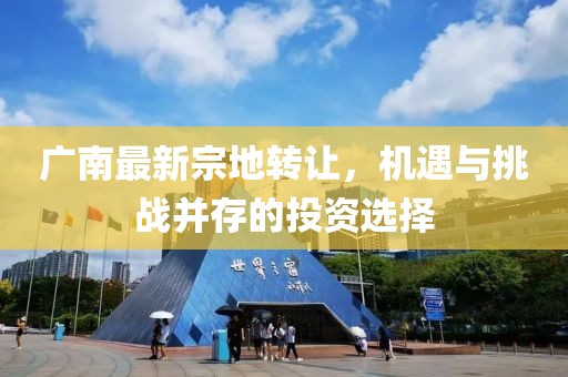 廣南最新宗地轉(zhuǎn)讓，機(jī)遇與挑戰(zhàn)并存的投資選擇