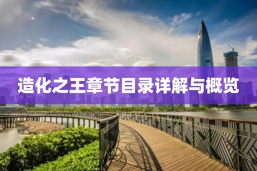 造化之王章節(jié)目錄詳解與概覽