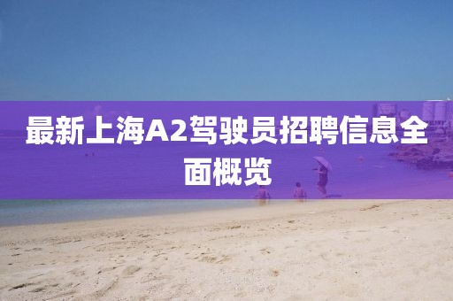 最新上海A2駕駛員招聘信息全面概覽