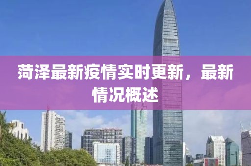 菏澤最新疫情實(shí)時(shí)更新，最新情況概述