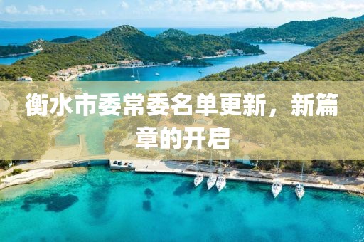 衡水市委常委名單更新，新篇章的開啟