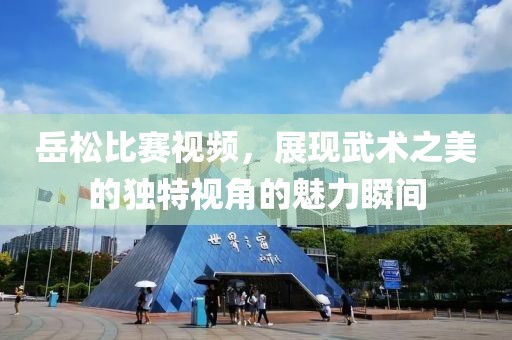 岳松比賽視頻，展現(xiàn)武術(shù)之美的獨特視角的魅力瞬間