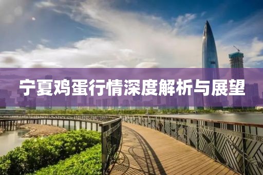 寧夏雞蛋行情深度解析與展望