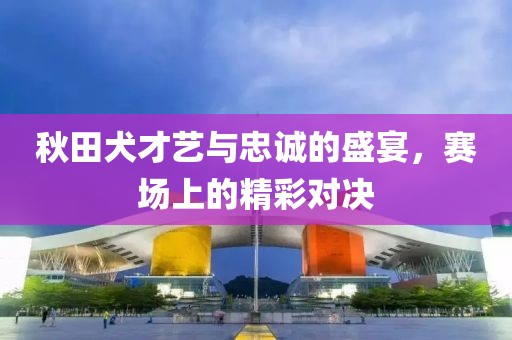 秋田犬才藝與忠誠(chéng)的盛宴，賽場(chǎng)上的精彩對(duì)決