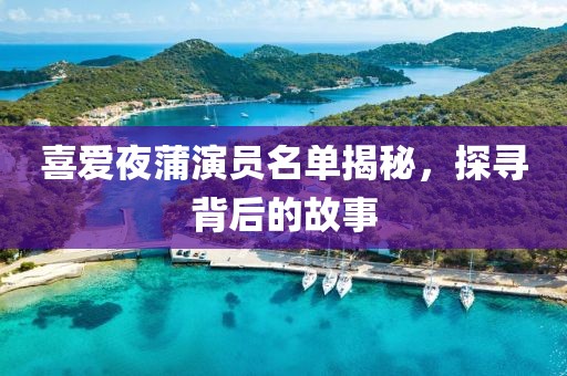 喜愛夜蒲演員名單揭秘，探尋背后的故事