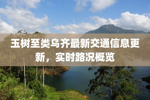 玉樹至類烏齊最新交通信息更新，實時路況概覽