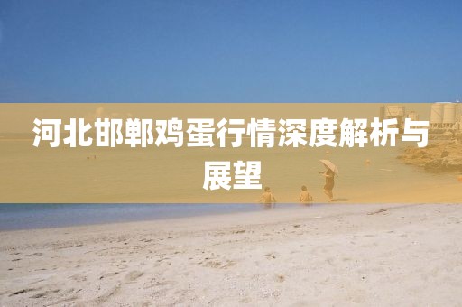 河北邯鄲雞蛋行情深度解析與展望