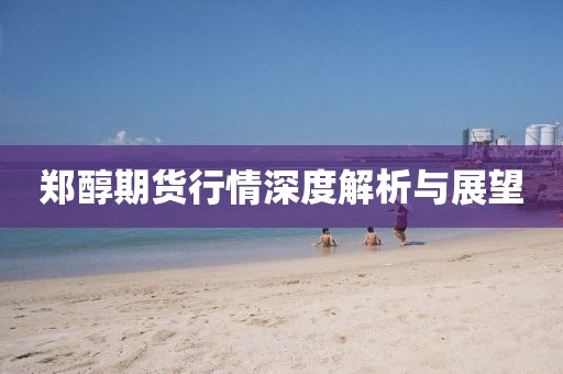 鄭醇期貨行情深度解析與展望