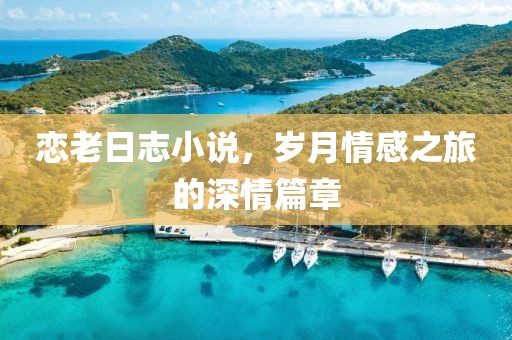 戀老日志小說，歲月情感之旅的深情篇章