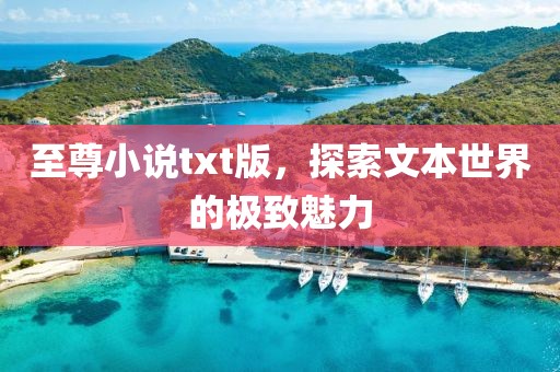 至尊小說txt版，探索文本世界的極致魅力