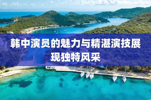 韓中演員的魅力與精湛演技展現(xiàn)獨特風(fēng)采