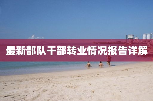 最新部隊干部轉業(yè)情況報告詳解