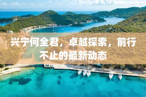 興寧何全君，卓越探索，前行不止的最新動(dòng)態(tài)