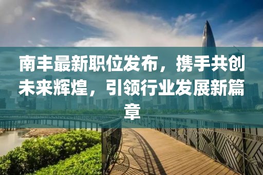 南豐最新職位發(fā)布，攜手共創(chuàng)未來輝煌，引領行業(yè)發(fā)展新篇章