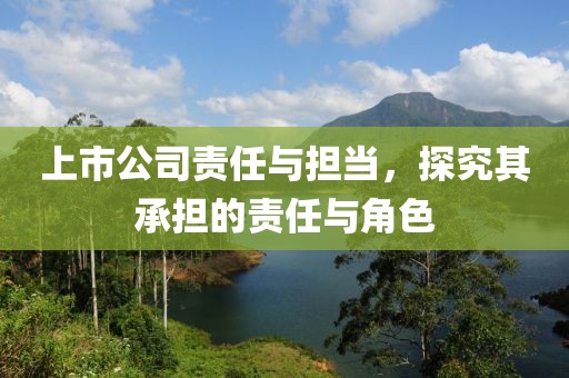 上市公司責(zé)任與擔(dān)當(dāng)，探究其承擔(dān)的責(zé)任與角色