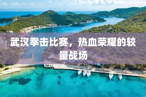 武漢拳擊比賽，熱血榮耀的較量戰(zhàn)場