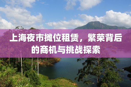 上海夜市攤位租賃，繁榮背后的商機與挑戰(zhàn)探索