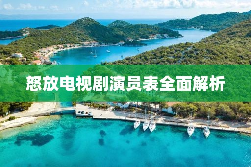 怒放電視劇演員表全面解析