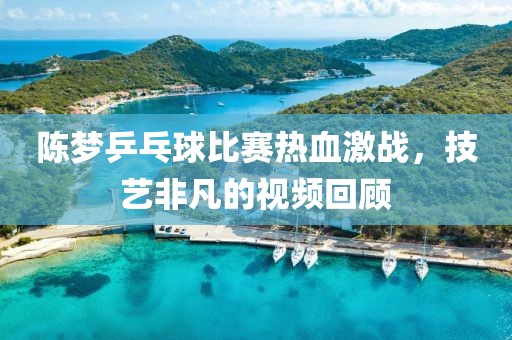 陳夢乒乓球比賽熱血激戰(zhàn)，技藝非凡的視頻回顧