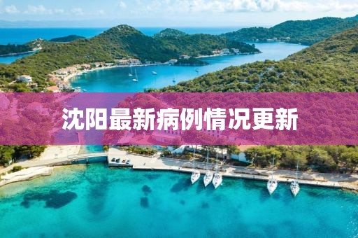 沈陽(yáng)最新病例情況更新