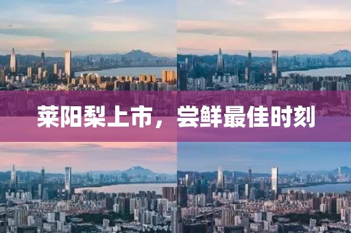 萊陽梨上市，嘗鮮最佳時刻